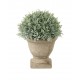 Faux Potted Cypress