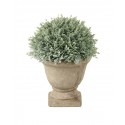 Faux Potted Cypress