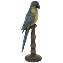 Parrot on Stand