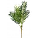 Green Palm Leaf Bush Stem