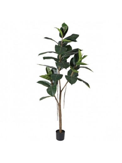 Large Green Faux Rubber Tree