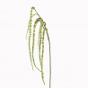 Green Amaranthus Spray