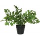 Artificial Potted Fern A