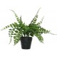 Artificial Potted Fern B