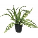 Artificial Potted Fern C