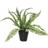 Artificial Potted Fern C