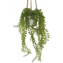 ARTIFICIAL STRING OF NICKELS HANGING PLANT