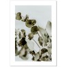 A3 PRINT : EUCALYPTUS No:1