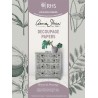 RHS DECOUPAGE PAPER BOTANICAL DRAWINGS
