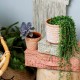 Geo Terracotta Plant Pot